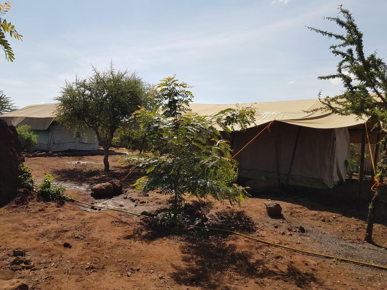Kizumba Camp Site Hotel Manyara Luaran gambar
